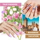 thumbnail image 2 of Set de esmaltes de uñas en gel Beetles, 60 colores, ojo de gato, 77 unidades, 2 of 6