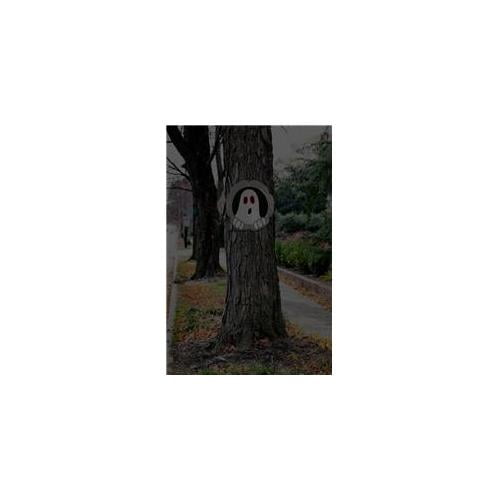 Tree Wrap, EverOptics, Coming Out of the Wood Work
