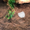 thumbnail image 1 of AURARMLET Para Comida Y De Reptiles Y Pequeños Color, 1 of 7