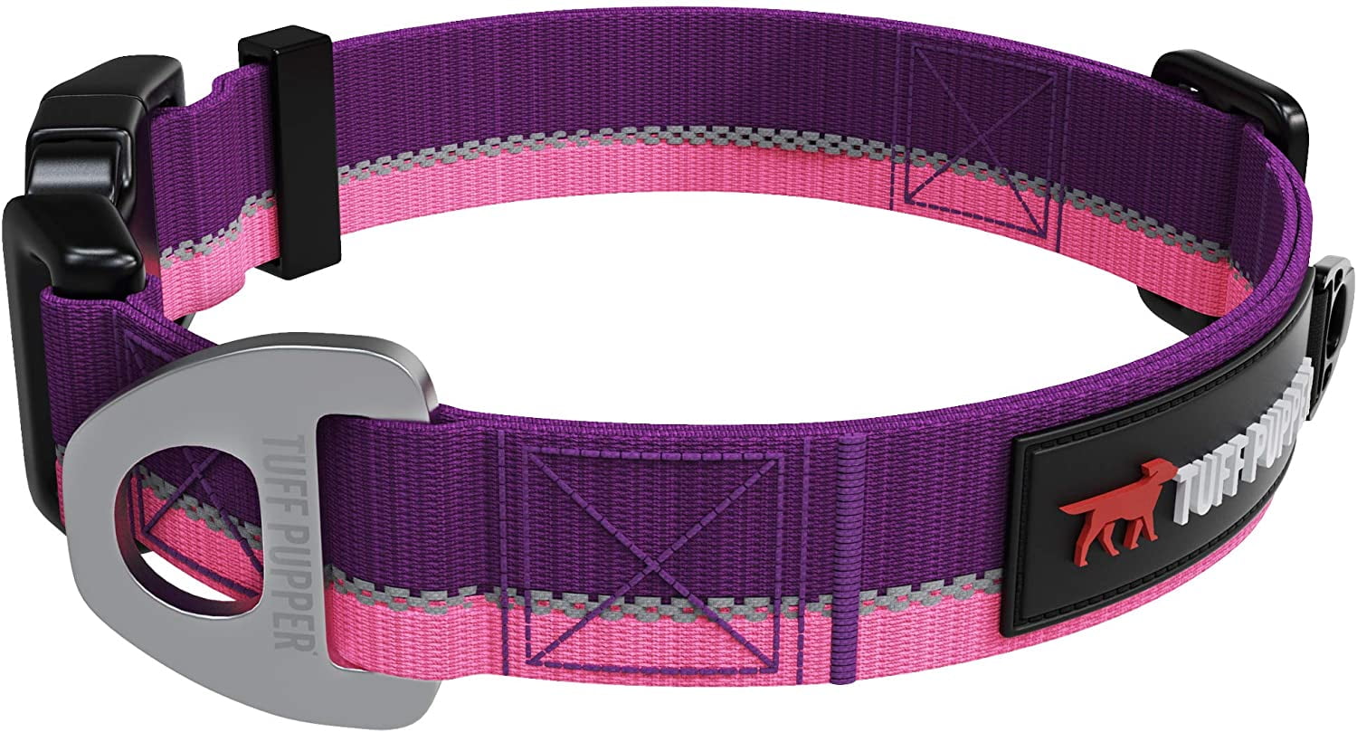 dog collar attachment