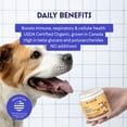 thumbnail image 5 of Organic Turkey Tail Mushroom Powder for Dogs-Immunity, Digestion & Cellular Health Support-2.12 oz, 5 of 8