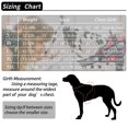 thumbnail image 5 of Dog Harness No-pull Breathable Adjustable Walking Training Assistance Chest Outdoor Easy Control _jiue, 5 of 5
