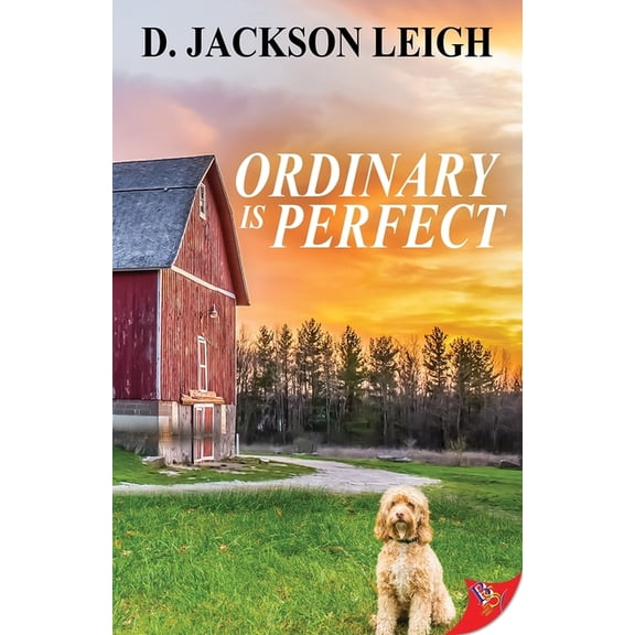 Ordinary Is Perfect, (Paperback)