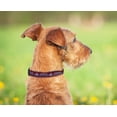 thumbnail image 3 of Collar Nailon Mediano Pets First Azul con Hebilla Desenganche rápido para Perro y Gato de la NHL Col, 3 of 6
