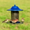 thumbnail image 4 of Perky-Pet 2 lb Blue Sparkle Panorama Feeder, 4 of 8