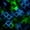 Green Blue Black, variant on Castle Fairy Abstract Neon Block 7-Piece Twin Bedding,Minimalism Futuristic Cubes Bedding Comforter Set,Green Blue Black,Reversible
