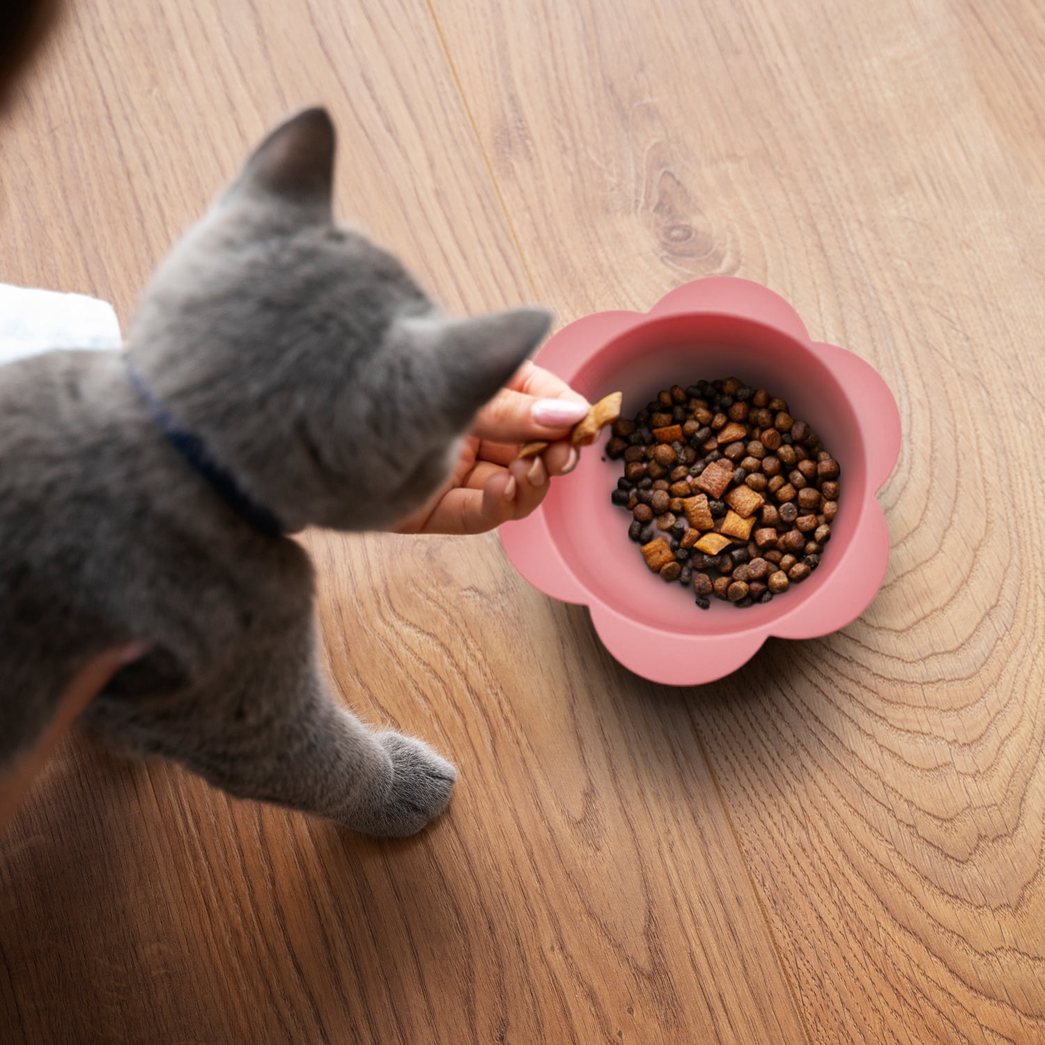 P.T. Supply Co. Pink Small Flower-Shaped Silicone Pet Bowl with Non-Slip Suction Base