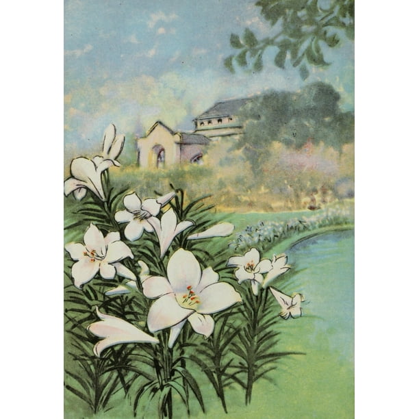 Garden Flowers 1926 Easter Lily Poster Print by Myron Van Brunt