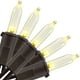 thumbnail image 1 of Guirnalda de luces navideñas, 10 m, 100 LED, blanco cálido, 120 V, 1 of 7