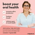 thumbnail image 2 of Focus Nutrition, XyloBurst 100% Xylitol Gum, Cinnamon Gum, 500 Count Bag, Natural Chewing Gum, Non GMO, Vegan, Aspartame Free, Sugar Free, 2 of 6
