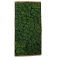 thumbnail image 1 of Musgo preservado,Musgo preservado Decoración de pared Musgo preservado real No requiere mantenimient TOMSHOO Tipo 1, 1 of 7