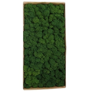 Natural Preserved Moss Purse Planter 8.75 - Save-On-Crafts