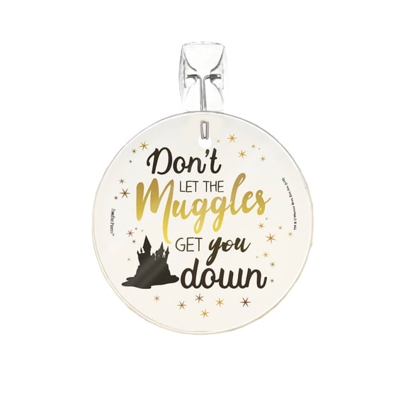 Harry Potter (Don't Let The Muggle) StarFire Prints™ Glass Art SPCIR897