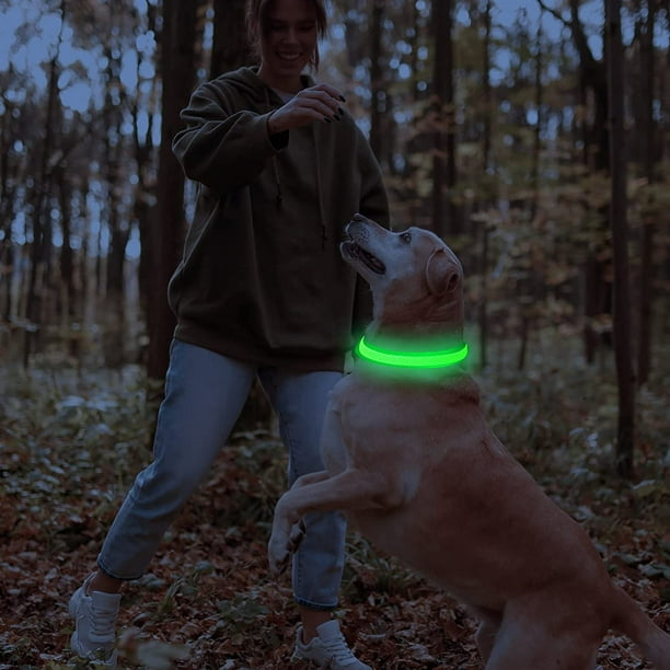 Night dog clearance collar