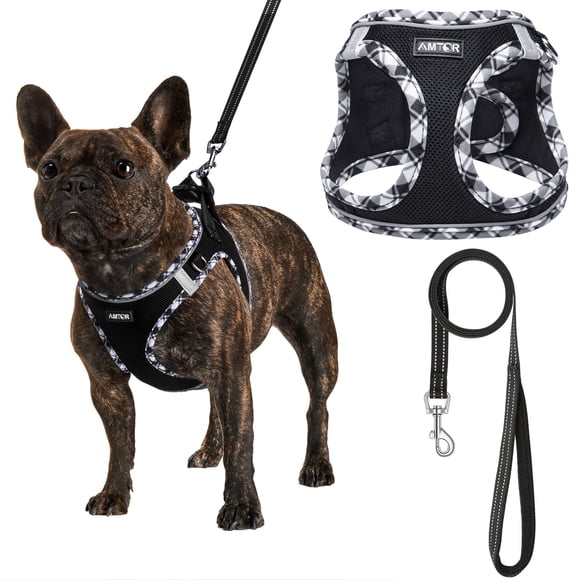 Arnés para perros AMTOR Small con correa para perros XS S M L