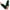 Army Green, variant on Clearance! Fdelink Women Girl Knitted Arm Fingerless Keep Warm Winter Gloves Soft Warm Mitten Finger Protector (Army Green)
