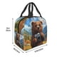 thumbnail image 3 of Easygdp Snowy Mountain Photography Bear Bolsa Térmica Premium - Tela Oxford Impermeable, Gran Capacidad, Bolsillo Frontal, Unisex para Trabajo, Escuela, Actividades al Aire Libre y Picnics, 3 of 8