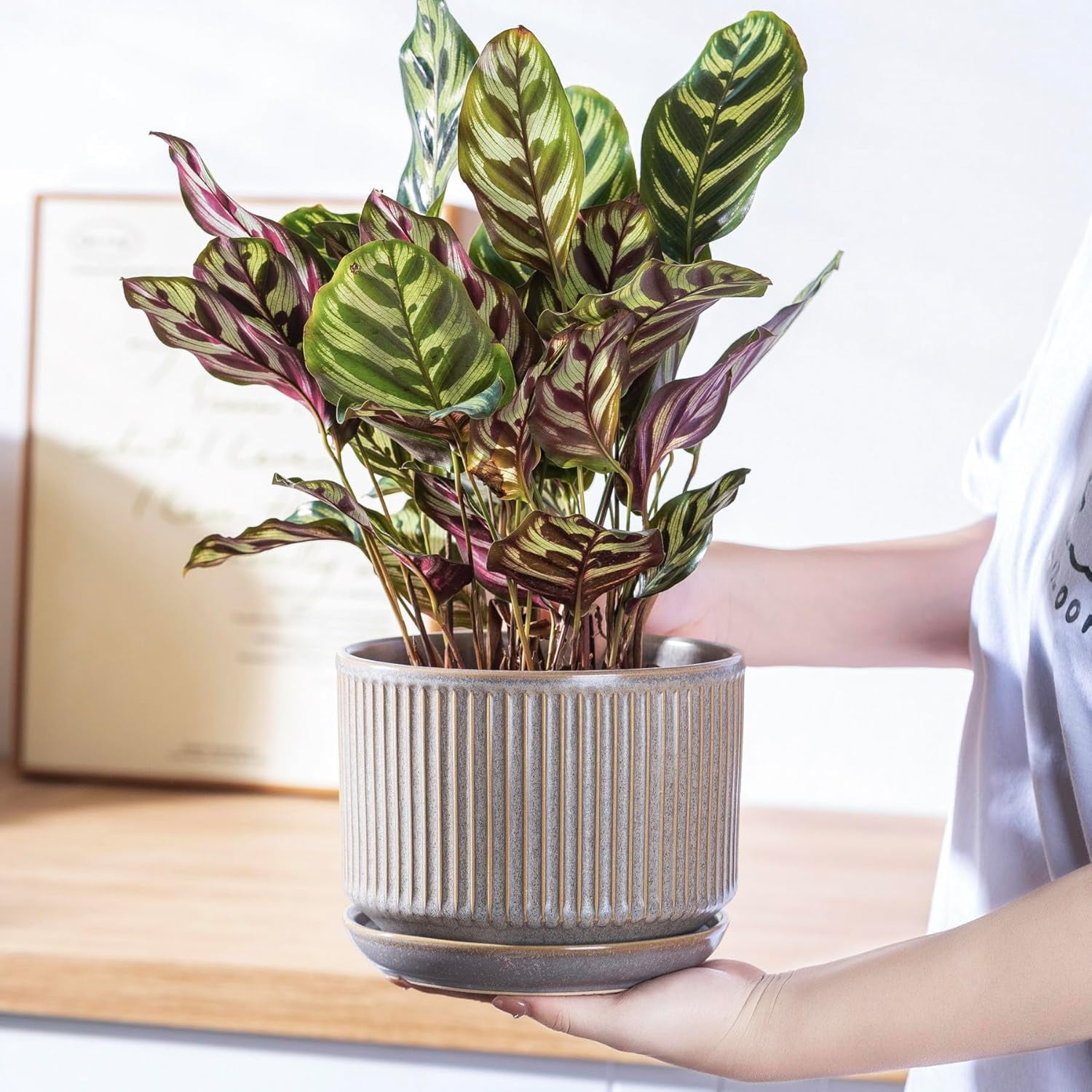 Speckle Gray Ceramic Plant Pot Set of 3 with Saucers, 4.3-6.7 Inch Indoor Flower Pots with Drainage Holes and Pads, Decorative Striped Planter Set for House Plants and Gardening