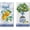 NO012, variant on But First Coffee Kitchen Dish Towels Set of 2