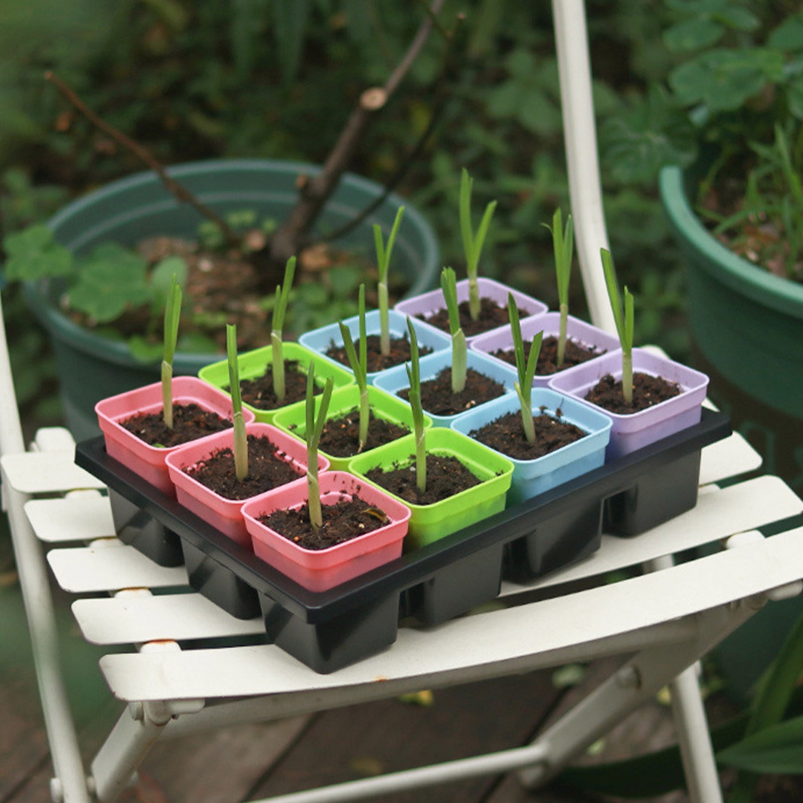 Seed Starter Tray with Lid, 12 Cells Seedling Tray Kit Reusable for Starting Vegetable, Flower & Herb Seeds Indoor Grow Kit for Deep-Rooted Seedlings