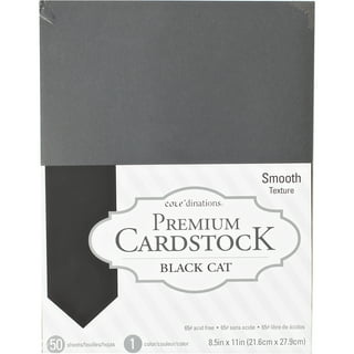 Cougar White 130#Double Thick Card Stock 8.5x11 - 50 Pk