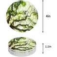 thumbnail image 1 of FMSHPON Green Tree Forest Woodland Spring Natural Scenery Art Print Set of 4 Round Coaster for Drinks, Absorbent Ceramic Stone Coasters Cup Mat with Cork Base for Coffee Table Bar Decor, 1 of 6