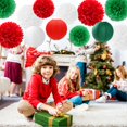 thumbnail image 2 of Red-Green White Party-Decorations Christmas Flowers Lanterns - 15PCS Italian Mexican Independence Day Paper Tissue Pom Poms Streamers,Mexico Italy Birthday Baby Shower Wedding Hanging Decor, 2 of 14