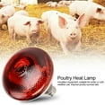 thumbnail image 3 of EIMELI 250w Infrared Heat Lamp Waterproof Anti-Explosion Thickened Light Bulbs for Piglet Chicken Duck Birds, 3 of 7