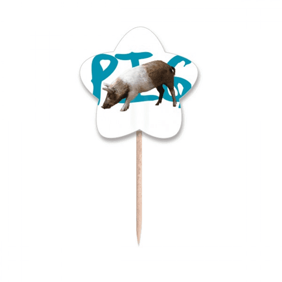 Cure-dents Animaux Écologie Chaîne Drapeaux Star Lable Cupcake Pics
