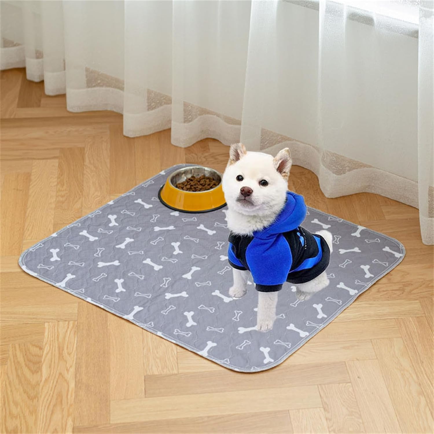 Pee Pads - The Last Pee Pad You'll Get, Washable for Dogs & Cats, Leak-Proof & Anti-Slip Pet Training Pads for Home & Travel  (C, L)
