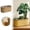 A, variant on Clearance! Soovim Flower Pots Outdoor Large Pot Natural Wicker with Liner Handwoven for Indoor and Outdoor Use for Home Cottage & Garden