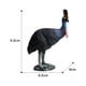 thumbnail image 2 of 1 pieza de simulación de casuario, modelo de animal salvaje, adorno decorativo para habitación, para casa, hotel., 2 of 6