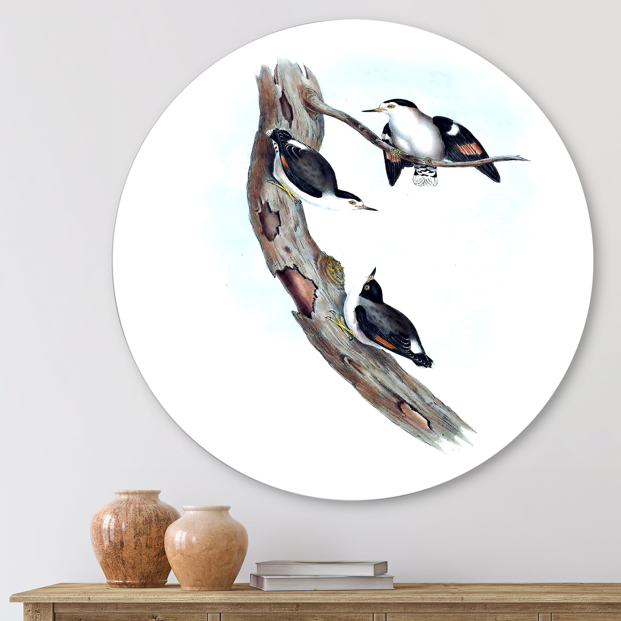 Designart 'Ancient Australian Bird Illustrations I' Traditional Circle Metal Wall Art 11x11 - Disc of 11
