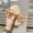 Beige, variant on Retro Fashion Sunglasses for Women, Oversized Face Slimming Sun Glasses, UV Protection Vintage Shades for Large Faces, White, One Size