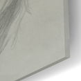 thumbnail image 3 of Epic Art 'Shih Tzu' by Barbara Keith, Acrylic Glass Wall Art, 16"x24", 3 of 8