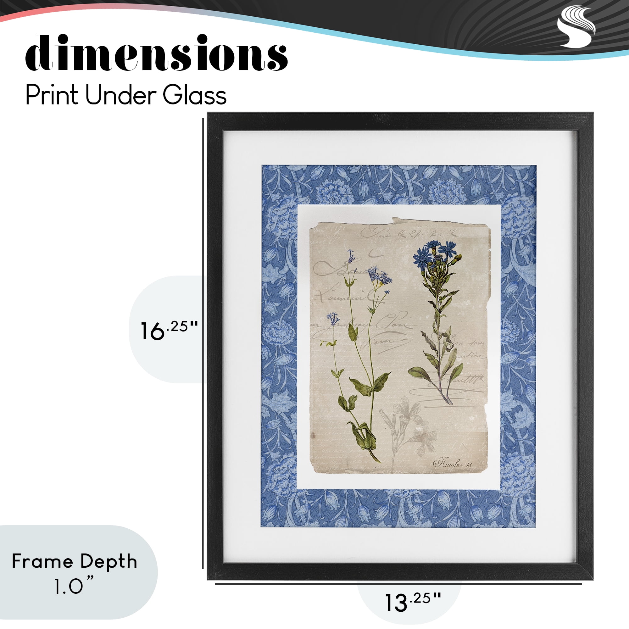 Stupell Industries Blue Vintage Botanicals Black Framed Print Under Glass, design by Livi Finn