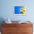thumbnail image 5 of Sunflowers, Artwork, Botanical Scenic Framed Art Print Wall Art by Victor Habbick Sold by ArtCom, 5 of 6