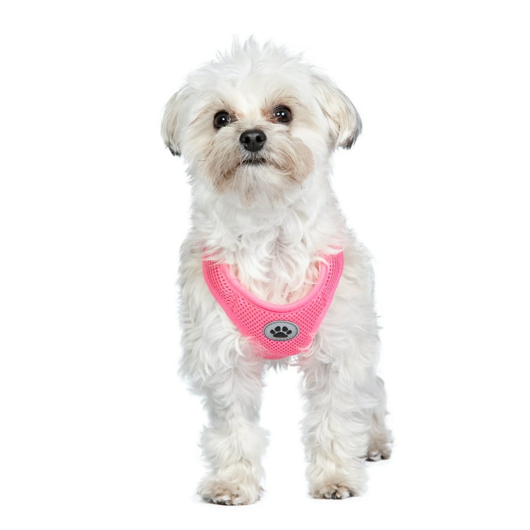 Vibrant Life, Dog Harness, Mesh Adjustable, Reflective Dog Walking Pet Harness, Pink Size XS - Walmart.com Vibrant Life, Dog Harness, Mesh Adjustable, Reflective Dog Walking Pet Harness, Pink Size XS - Walmart.com