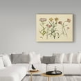 thumbnail image 3 of Trademark Fine Art 'Herbal Botanical VIII' Canvas Art by Wild Apple Portfolio, 3 of 3
