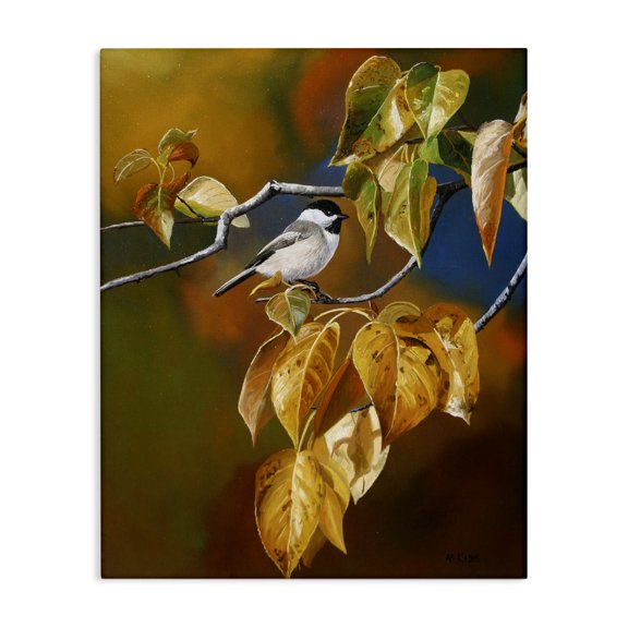 Stupell Industries Transitional Bird Perched in Nature Canvas Art, 16 x 20, by Andrew Kiss