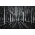thumbnail image 2 of Zhu, Jingshu 24x17 White Modern Wood Framed Museum Art Print Titled - Into The Forest, 2 of 4