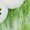 Green, variant on Funny Ugly Big Eyes Marten Velvet Mid-Tube Plush Socks for Girls, Soft, Warm and Suitable for Home and Sleeping