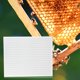 thumbnail image 4 of Robusto Excluidor , de Limpiar, Reductor de Entrada de Colmena, Separador de Abejas Reina, Accesorios para Patio Trasero, Suministros Soledad Tablero separado de abejas reinas, 4 of 6