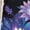 Blue Butterfly, variant on Axolotl Hoodies for Teen Boys 8-9 Casual Comfortable Children's Long Sleeve Sweatshirt Soft Fall Outerwear Versatile Fashion Stretchy for Boys Teens Youth