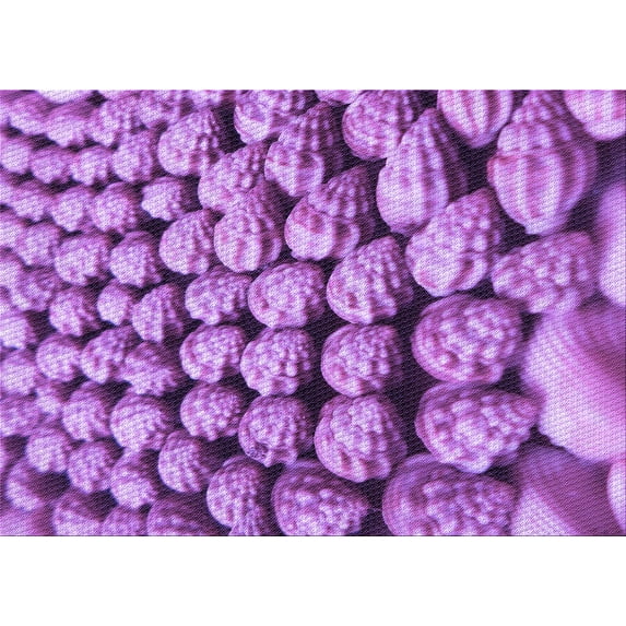 Ahgly Company Machine Washable Indoor Rectangle Transitional Violet Purple Area Rugs, 8' x 12'