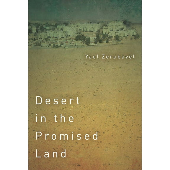 Stanford Studies in Jewish History and Culture: Desert in the Promised Land (Paperback)
