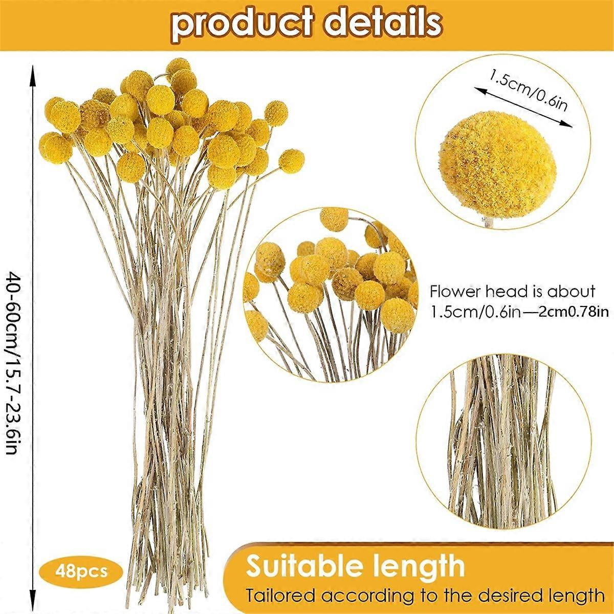48 Pcs Dried Flowers Dried BillyBalls Dried Craspedia Flowers Button Yellow Dried Flowers Fake Silk