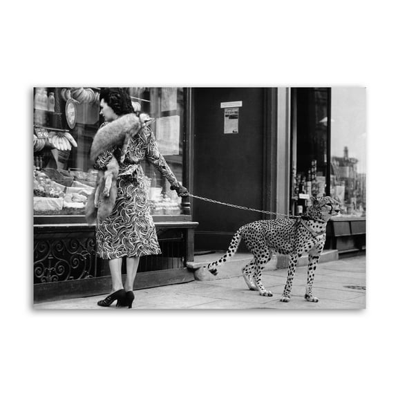 Vintage Black And White Leopard on A Leash Wall Art Poster Scroll Canvas Painting Picture Living Room Decor Home 24x36inch(60x90cm)