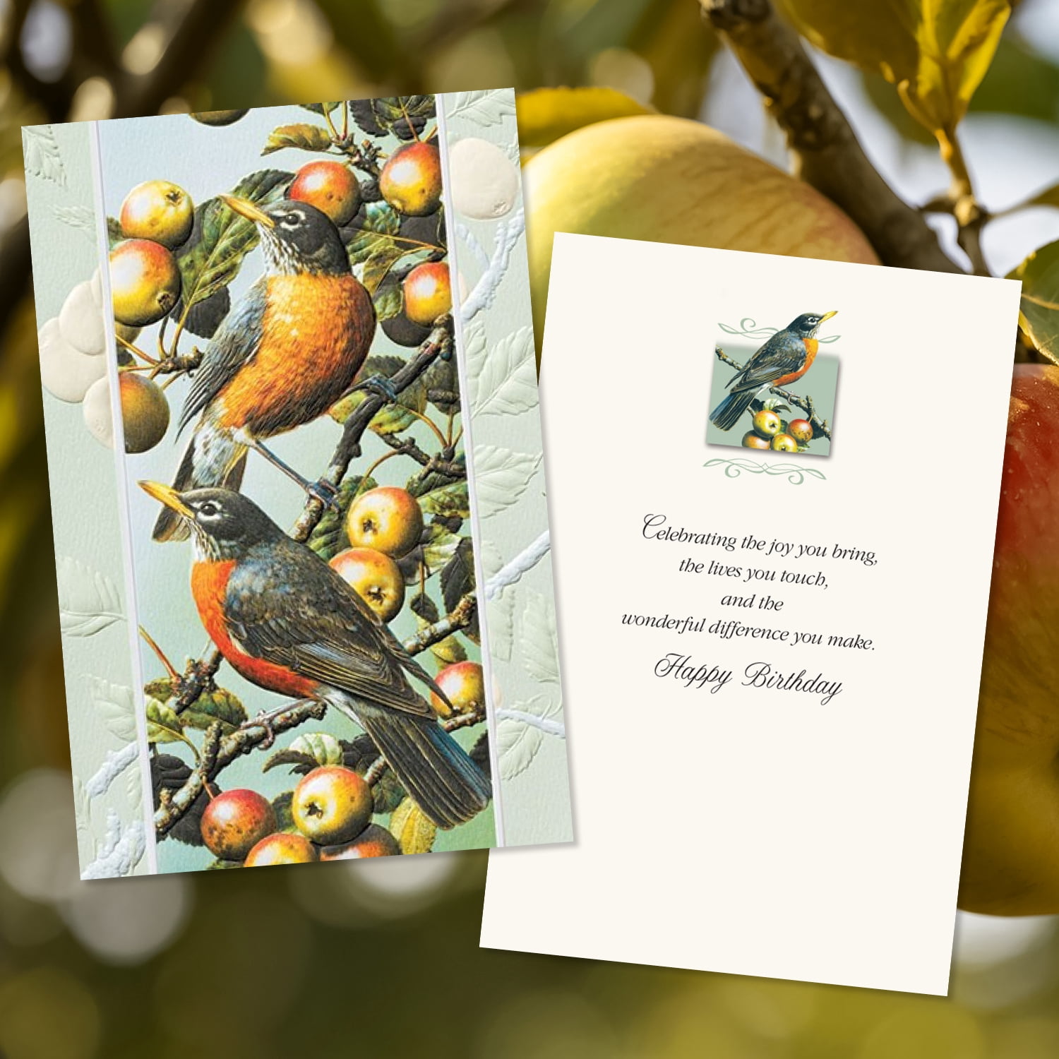 Pumpernickel Press Deluxe Embossed Birthday Card Assortment – “Wild Birds”, 30 Ct