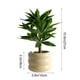 thumbnail image 3 of Simulation Plants Decorative Small Potted Plants Office Living Room Desktop Indoor Bonsais Ornaments Bionics Fake Flowers And Greenerys, 3 of 6
